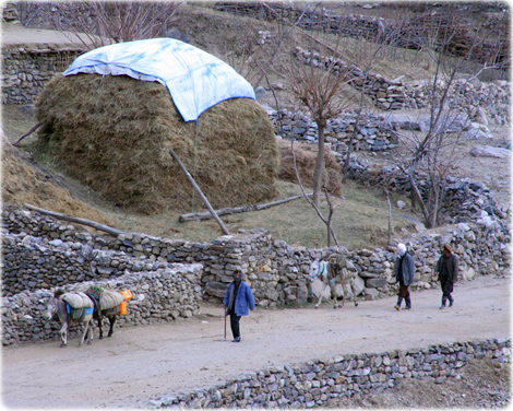 Rural