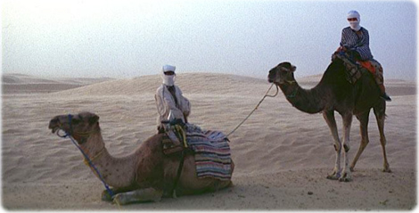 Camelos