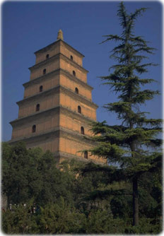 Wild Goose Pagoda