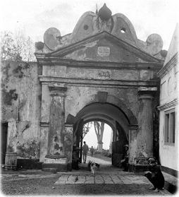 Forte holandes