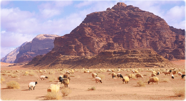 Deserto