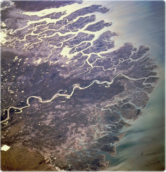 Delta Indo