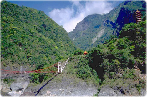 Taroko