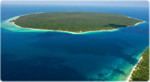 Ilha Jaco