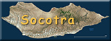 Socotora